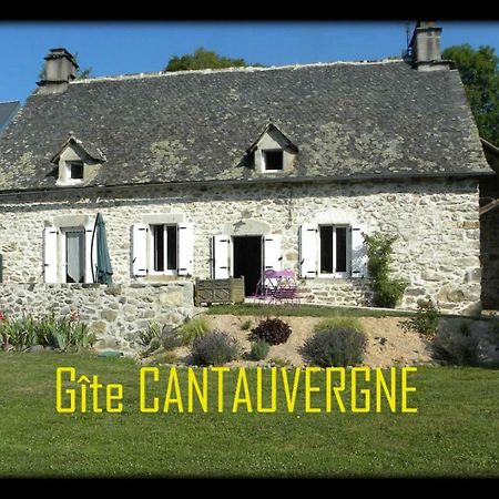 Gite Cantauvergne Villa Vebret Bagian luar foto
