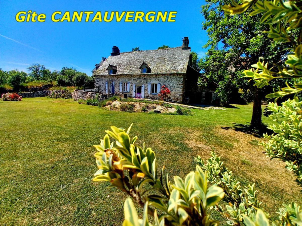 Gite Cantauvergne Villa Vebret Bagian luar foto