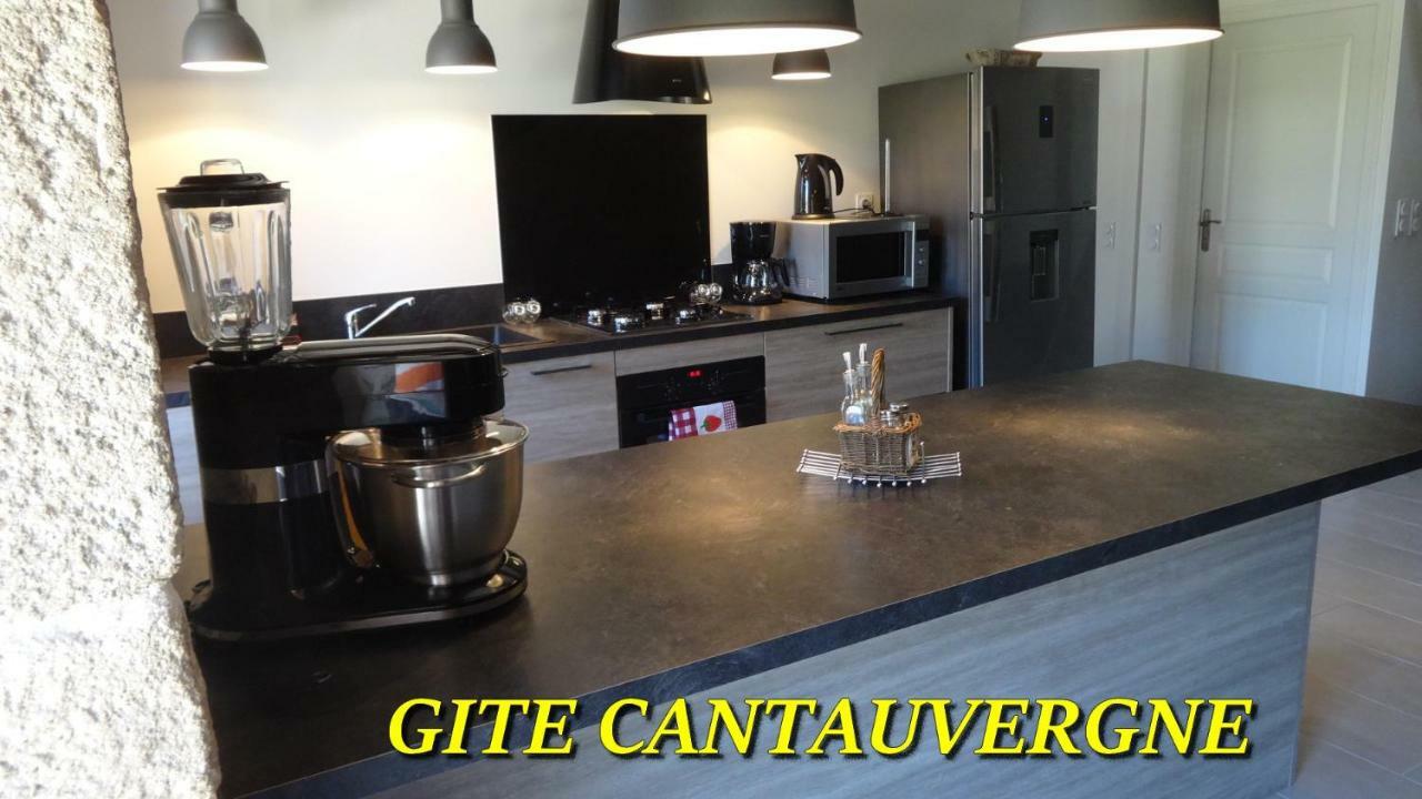 Gite Cantauvergne Villa Vebret Bagian luar foto