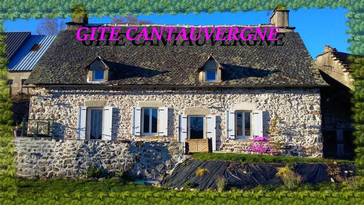 Gite Cantauvergne Villa Vebret Bagian luar foto