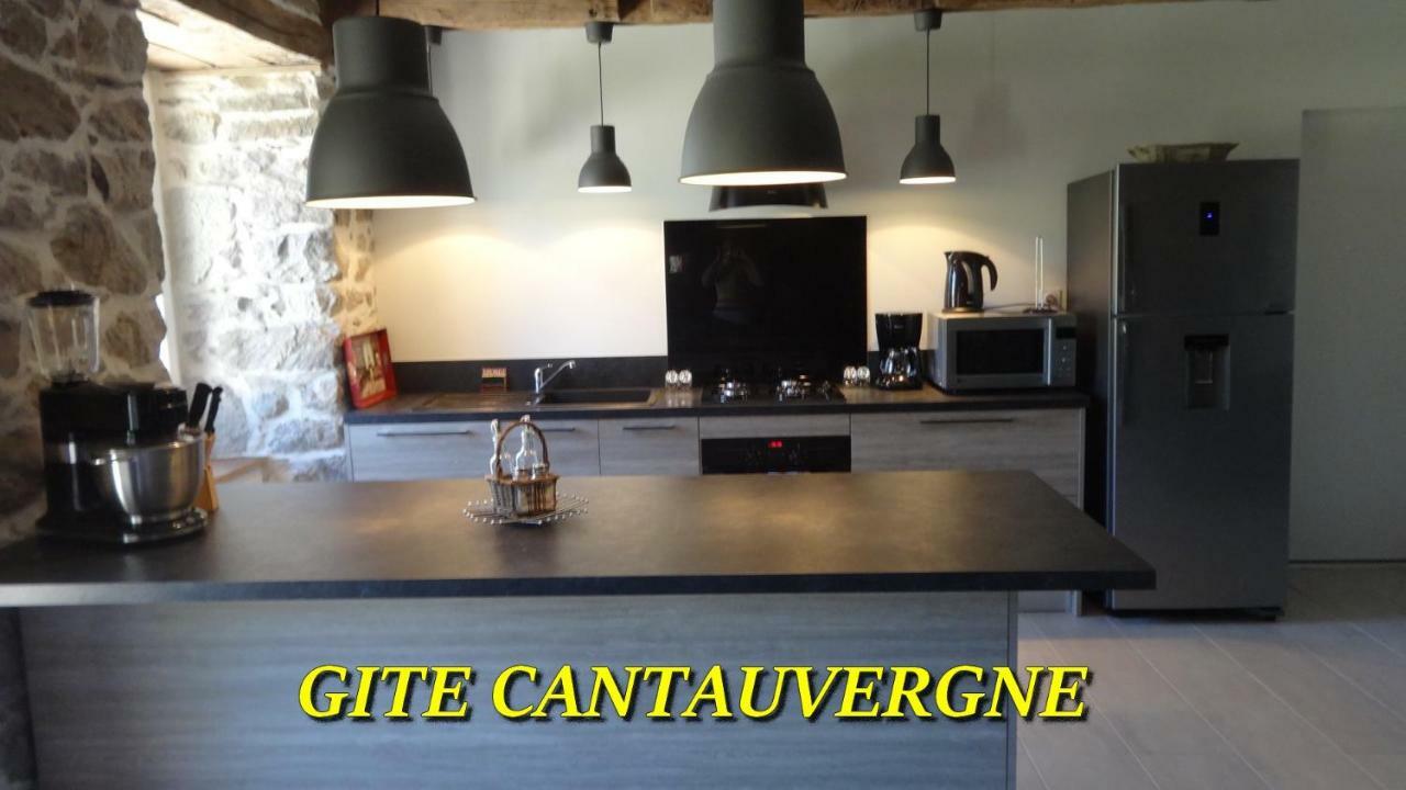 Gite Cantauvergne Villa Vebret Bagian luar foto