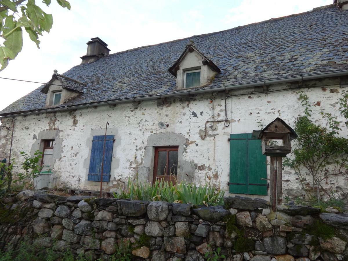 Gite Cantauvergne Villa Vebret Bagian luar foto