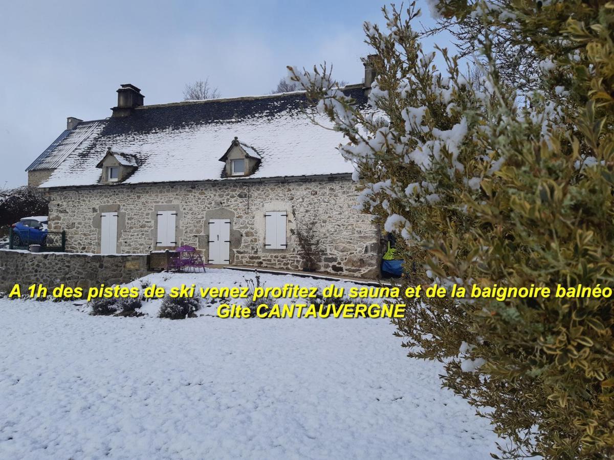 Gite Cantauvergne Villa Vebret Bagian luar foto